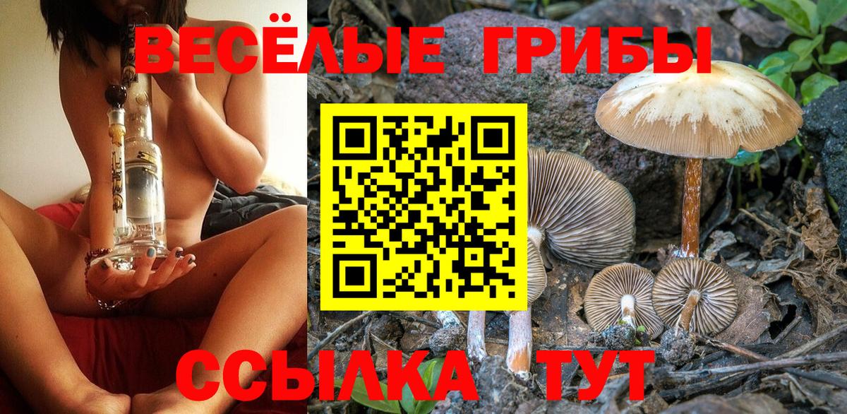 Галлюциногенные грибы ЛСД Белореченск